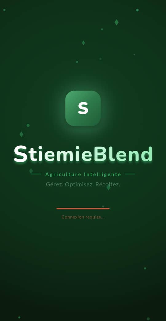 Capture de l'application StiemieBlend